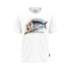 DENTEX T-SHIRT fehér